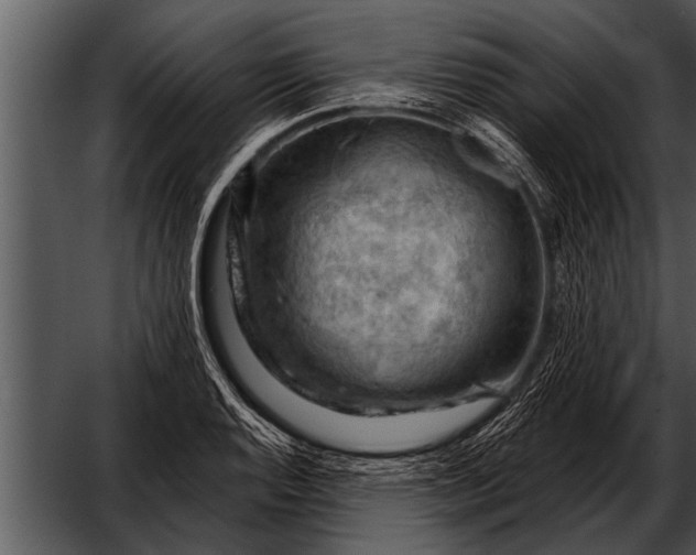 X0000052641128200507160150