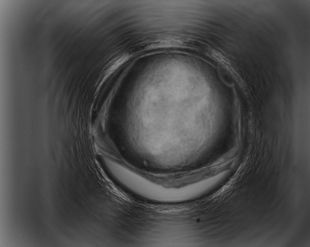 X0000052641129200507160150