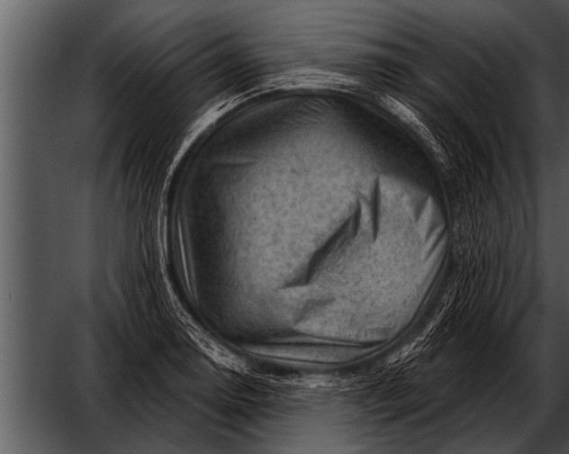 X0000052641130200507160150