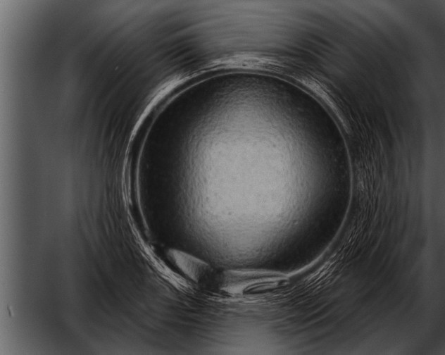 X0000052641131200507160150