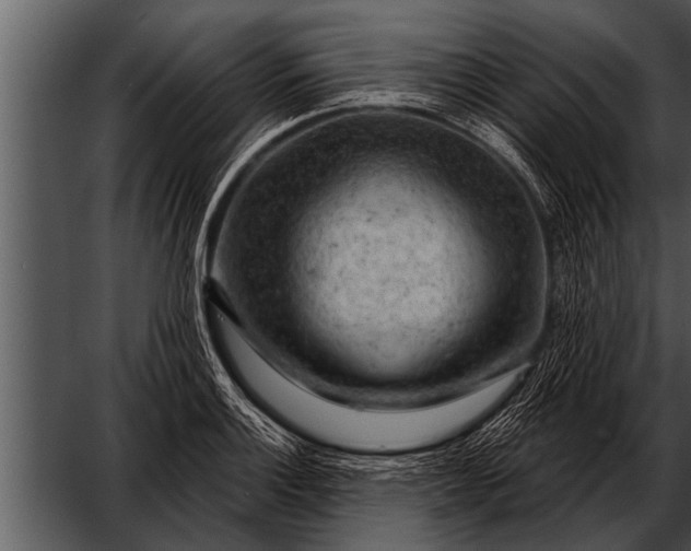 X0000052641132200507160150