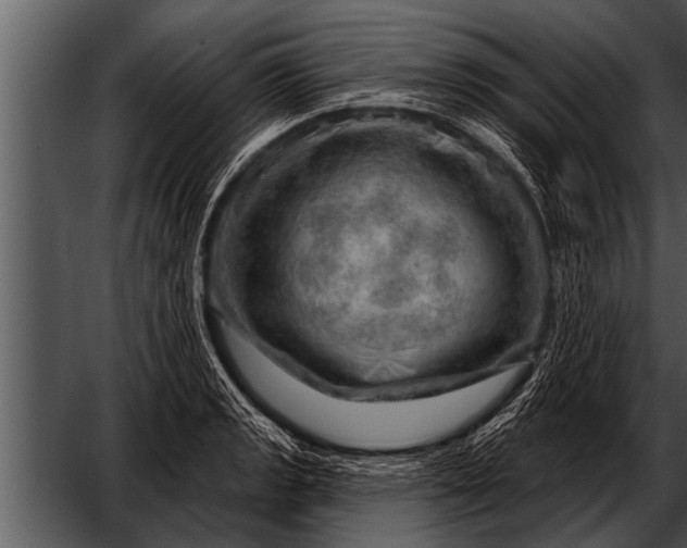 X0000052641133200507160150