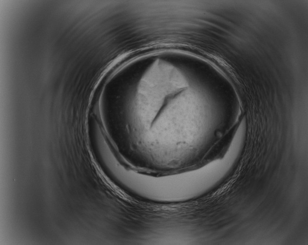 X0000052641134200507160150