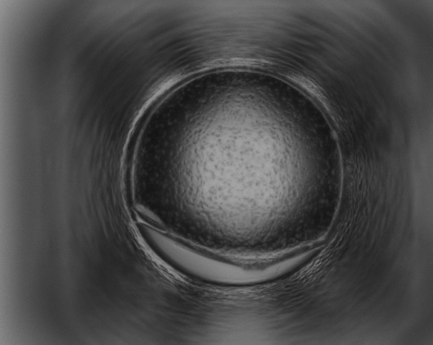 X0000052641135200507160150