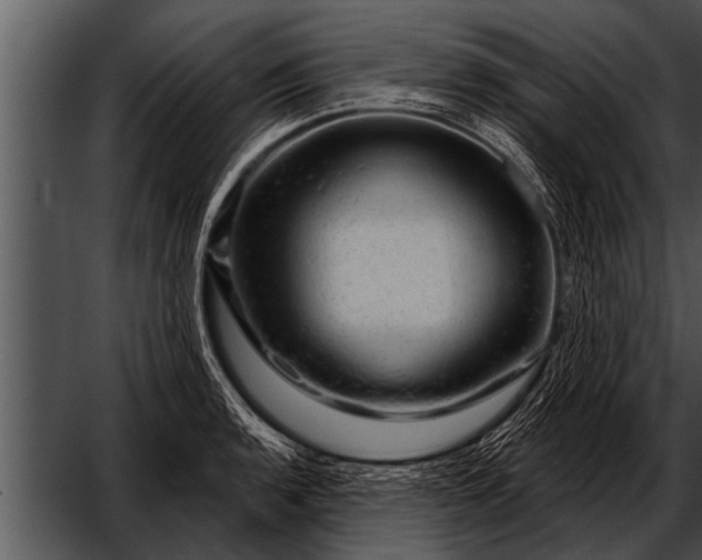 X0000052641136200507160150