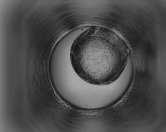 X0000052641137200507160150