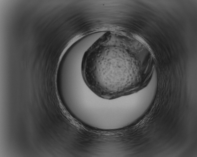 X0000052641138200507160150