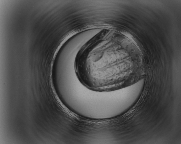 X0000052641139200507160150