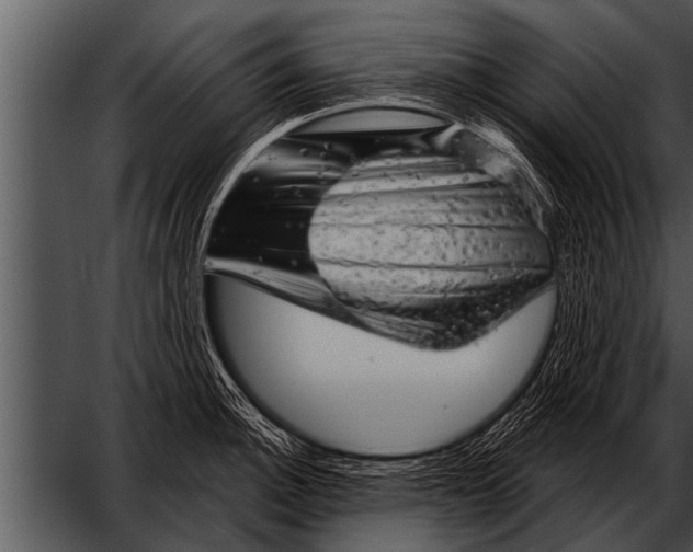 X0000052641140200507160150