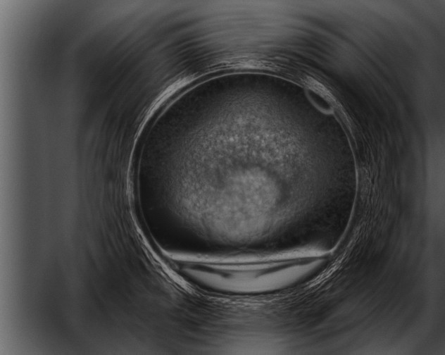 X0000052641141200507160150