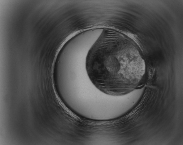 X0000052641142200507160150