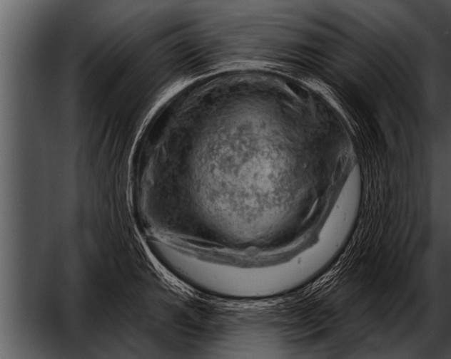 X0000052641143200507160150