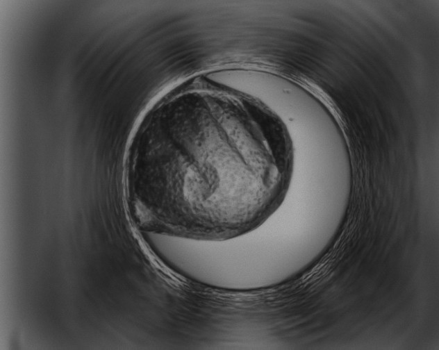 X0000052641144200507160150