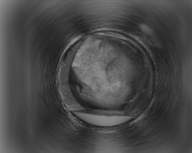 X0000052641145200507160150