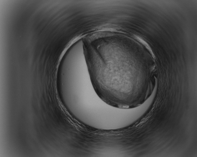 X0000052641146200507160150