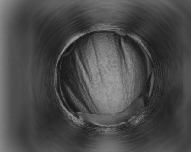 X0000052641147200507160150