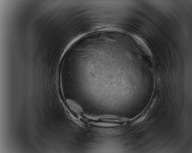 X0000052641149200507160150