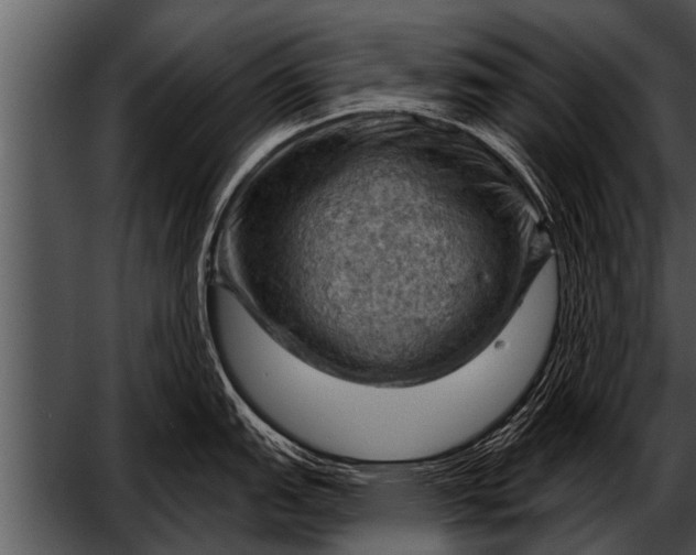 X0000052641151200507160150