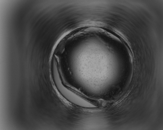 X0000052641152200507160150