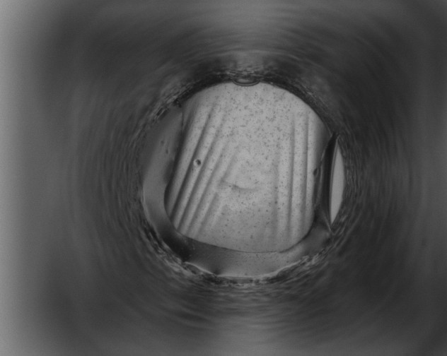 X0000052641153200507160149