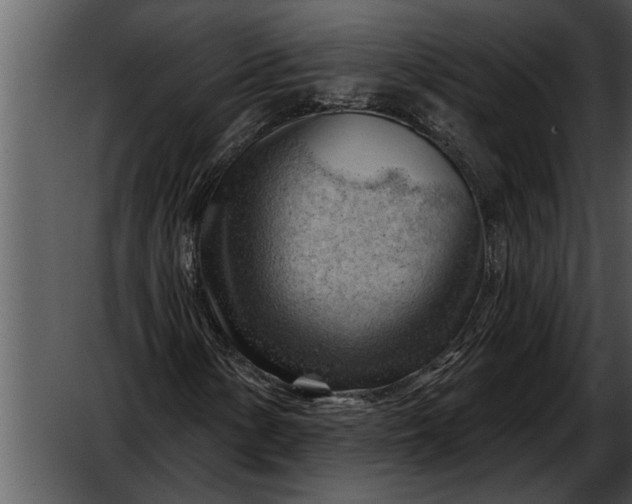 X0000052641154200507160149