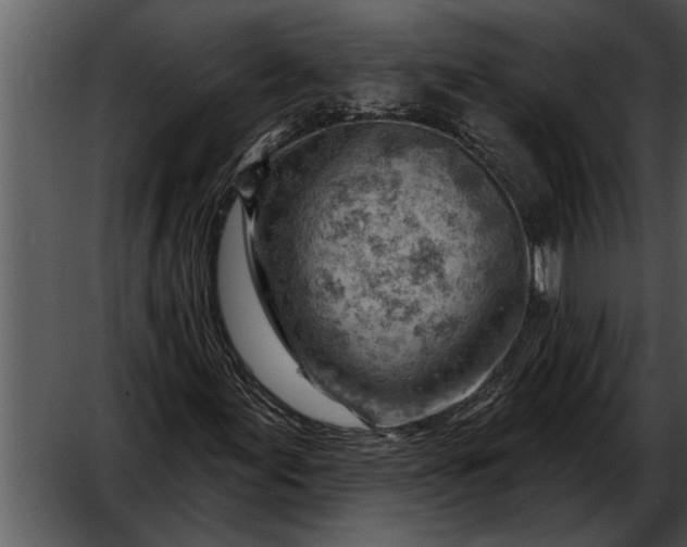 X0000052641155200507160149