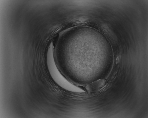 X0000052641156200507160149