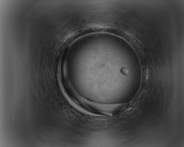 X0000052641157200507160149