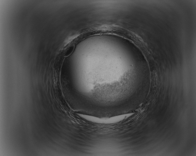 X0000052641158200507160149