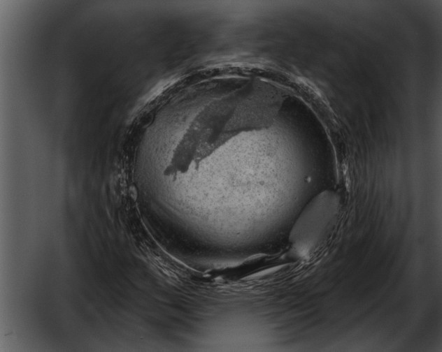 X0000052641159200507160149