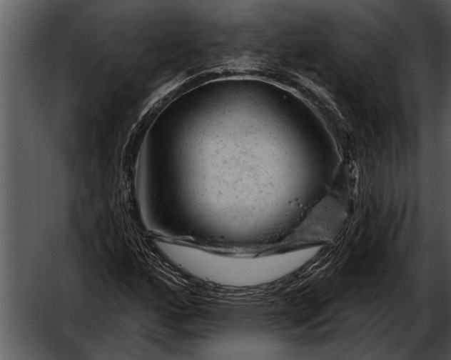 X0000052641160200507160149