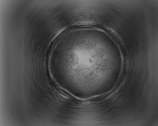 X0000052641162200507160149