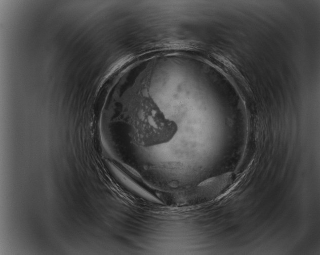 X0000052641163200507160149