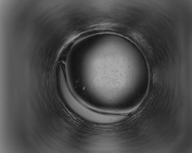 X0000052641164200507160149