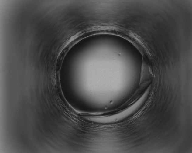 X0000052641165200507160149