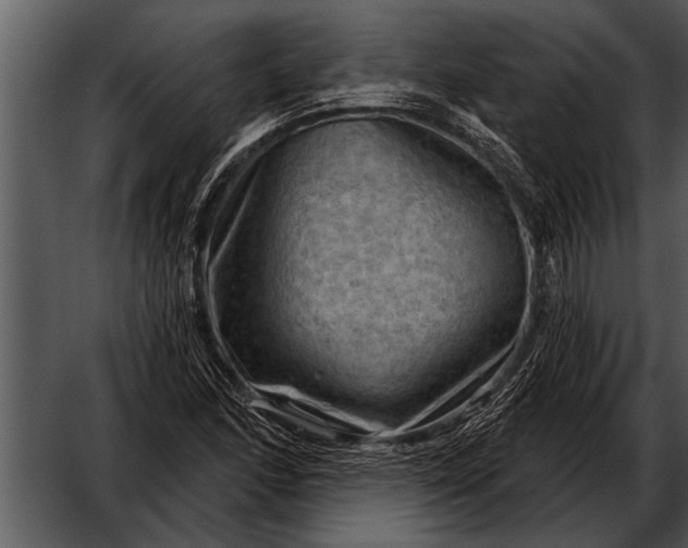 X0000052641166200507160149