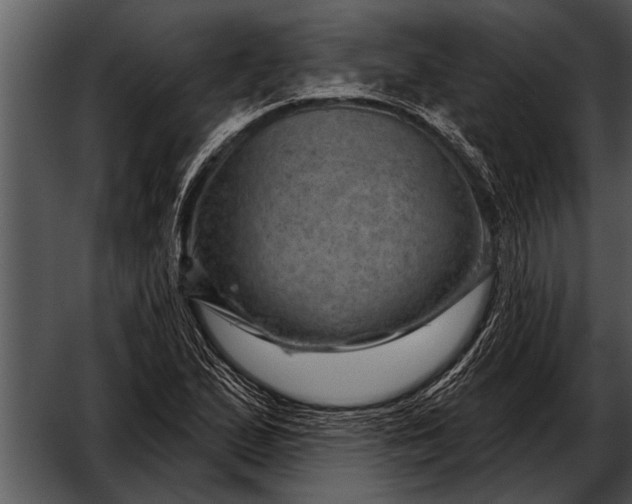 X0000052641167200507160149