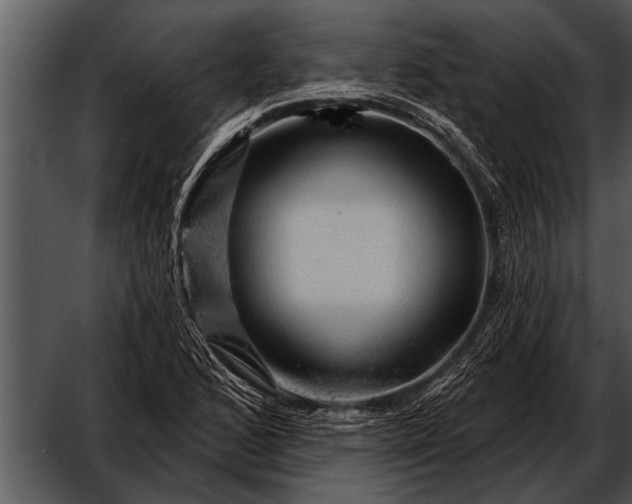 X0000052641168200507160149