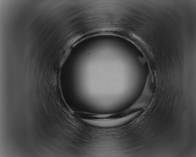 X0000052641169200507160149