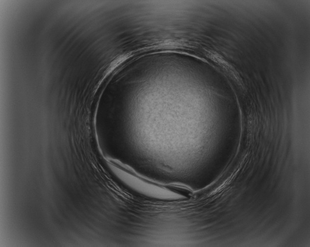 X0000052641170200507160149