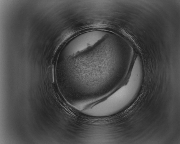 X0000052641171200507160149