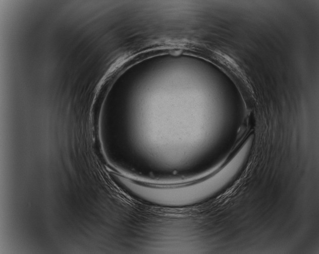 X0000052641172200507160149