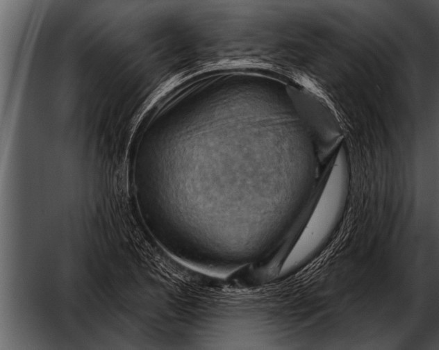 X0000052641173200507160149