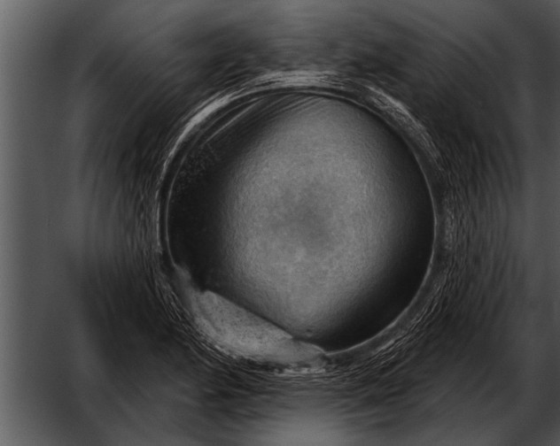 X0000052641174200507160149