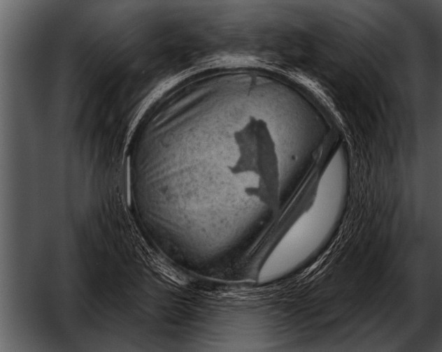 X0000052641175200507160149