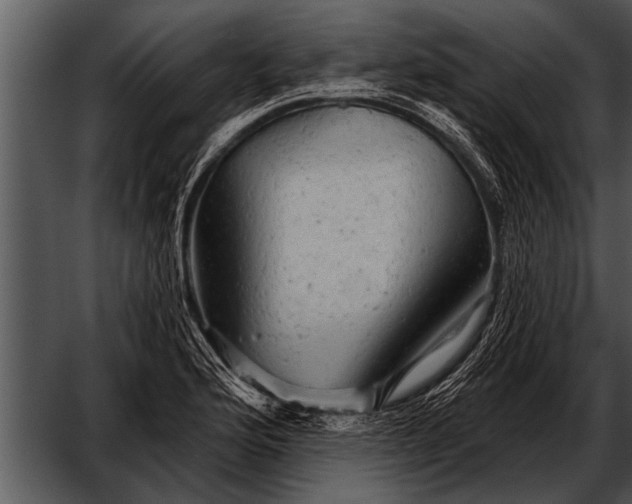 X0000052641176200507160149