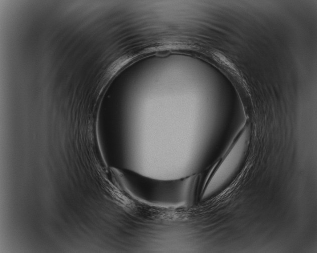 X0000052641177200507160149