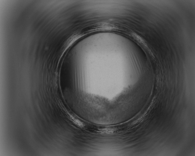 X0000052641178200507160149