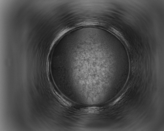 X0000052641179200507160149