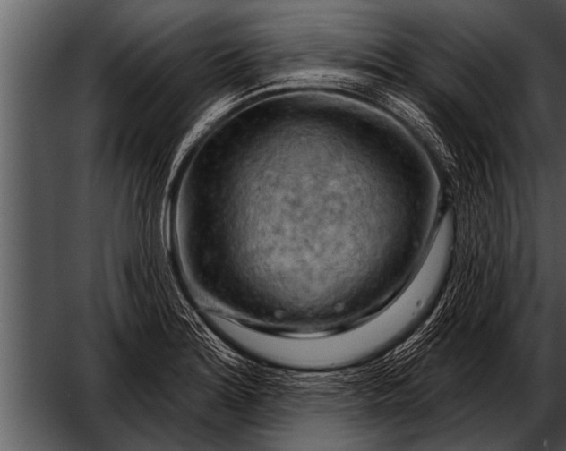 X0000052641180200507160149